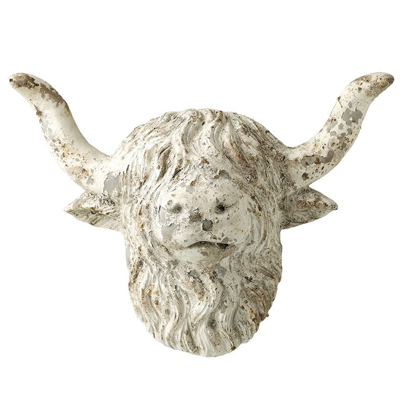 Highland Cow Head